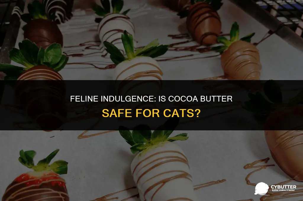 can cats eat cocoa butter