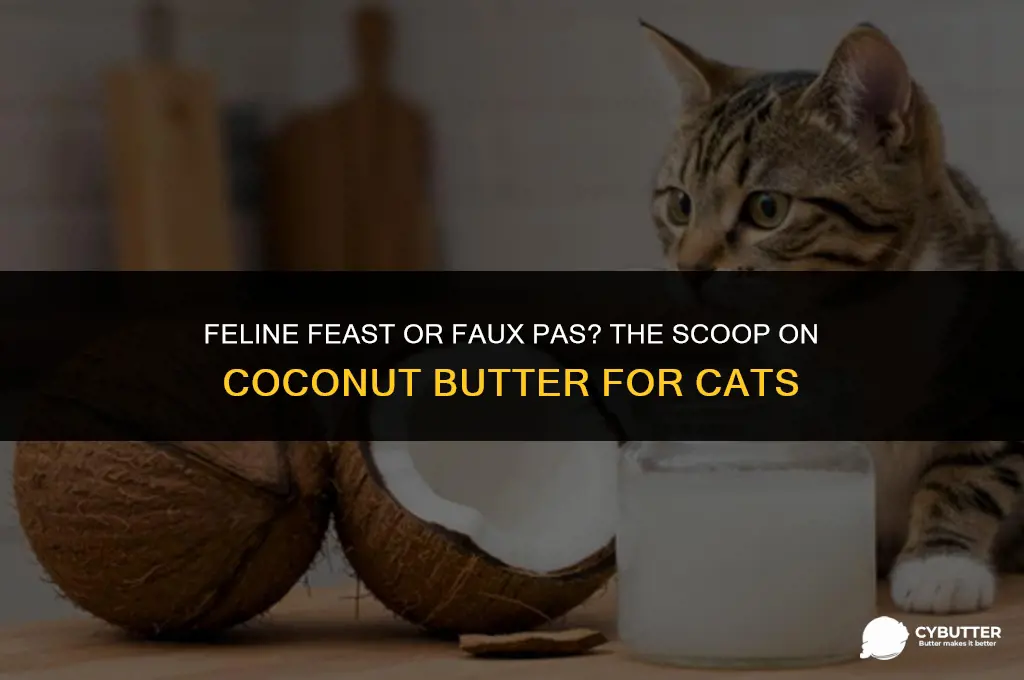 can cats eat coconut butter