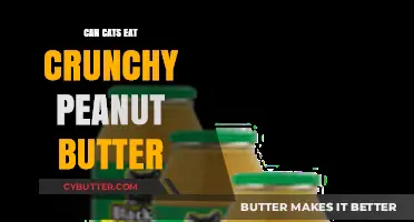 Crunchy Peanut Butter: A Feline's Forbidden Treat?