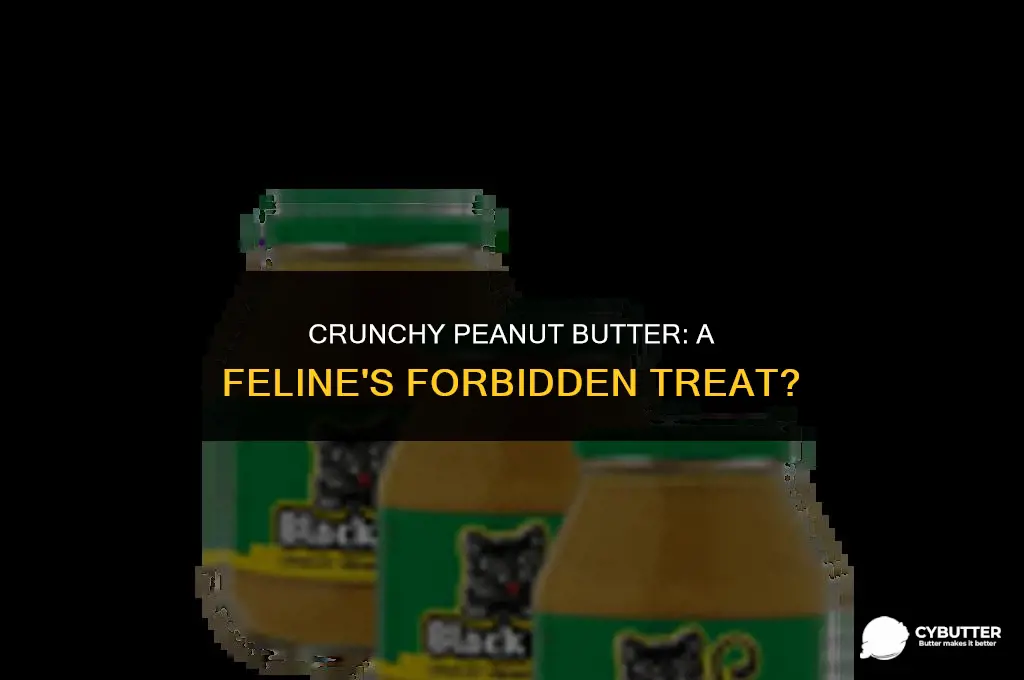 can cats eat crunchy peanut butter