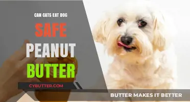 Feline-Friendly or Canine-Only? The Scoop on Peanut Butter for Pets