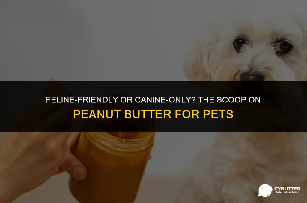 can cats eat dog safe peanut butter