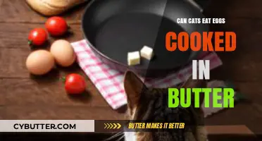 Feline Feast: Eggs Cooked in Butter - A Nutritious Treat?