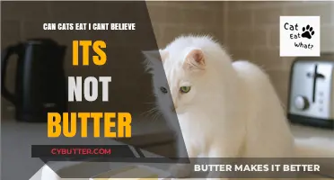 Feline Diet Dilemma: Is 'I Can't Believe It's Not Butter' Safe for Cats?