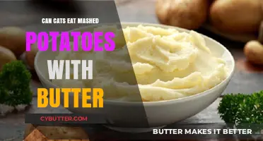 Feline Feast: Mashed Potatoes with Butter - Safe or Not?