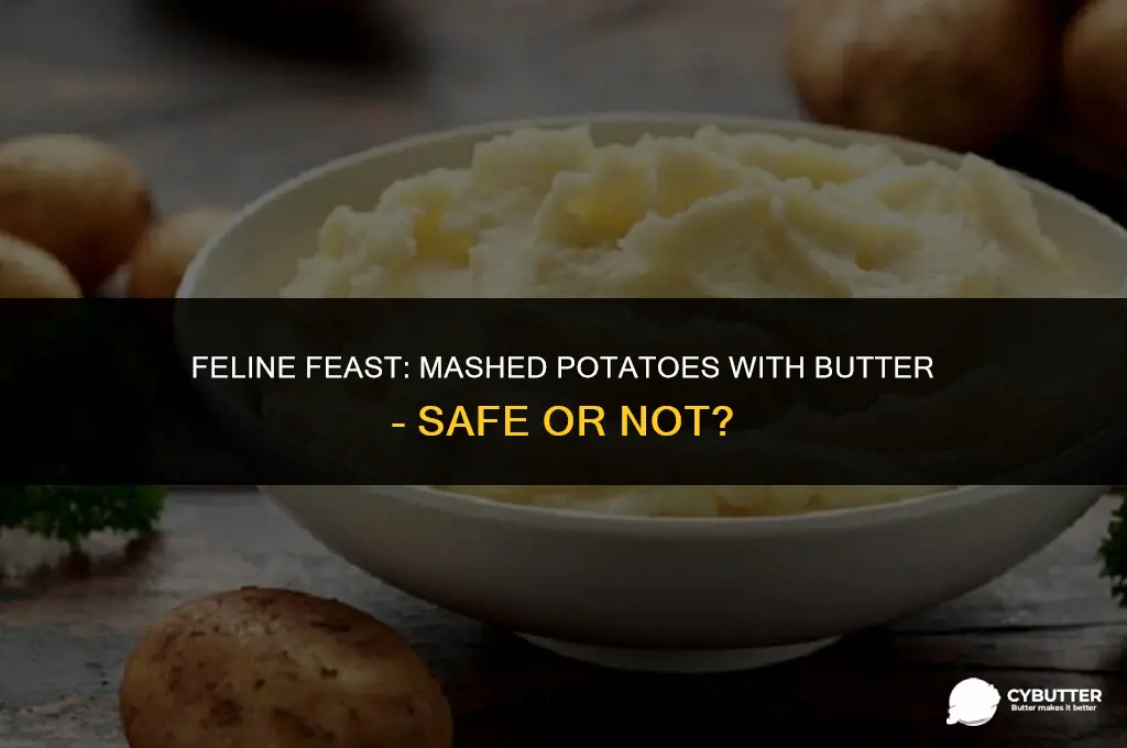 can cats eat mashed potatoes with butter