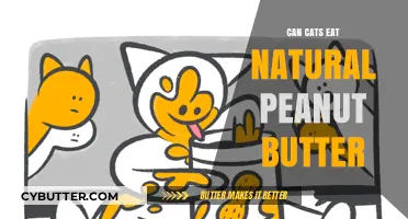 Can Cats Enjoy Natural Peanut Butter? A Feline Diet Guide