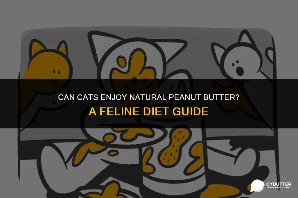 can cats eat natural peanut butter