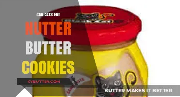 Feline Diet Dilemma: Are Nutter Butter Cookies Safe for Cats?