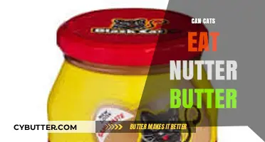 Can Cats Indulge in Nutter Butter? A Feline Diet Dilemma