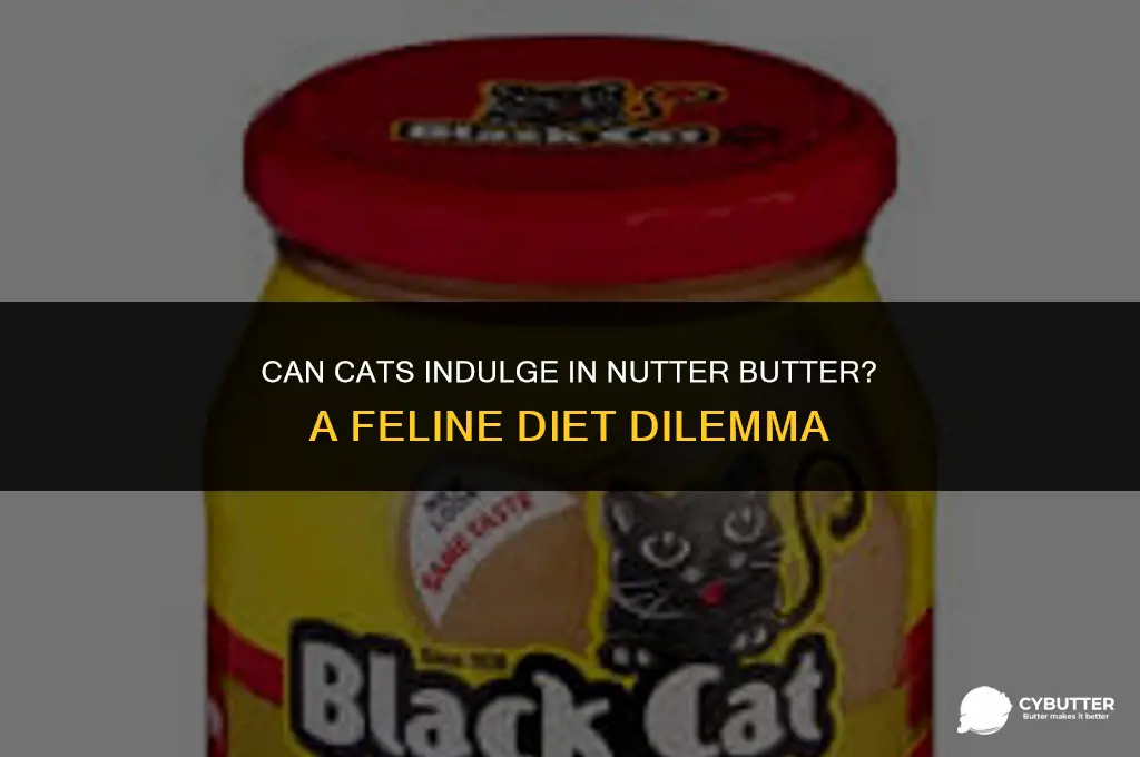 can cats eat nutter butter