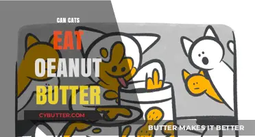 Can Cats Eat Peanut Butter? A Comprehensive Guide for Pet Owners