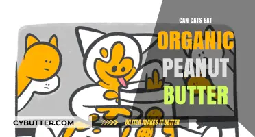 Exploring Feline Diets: Is Organic Peanut Butter Safe for Cats?