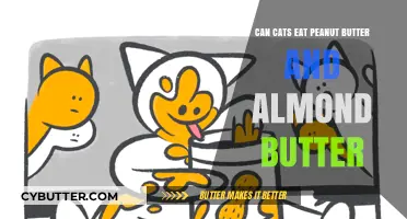 Feline Diet Dilemma: Peanut Butter and Almond Butter for Cats?