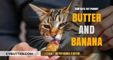 Feline Diet Dilemmas: Peanut Butter and Banana Safe for Cats?