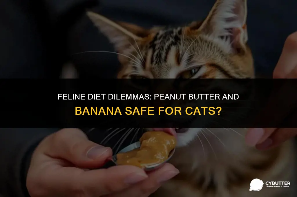 can cats eat peanut butter and banana