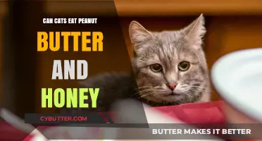 Feline Diet Dilemma: Peanut Butter and Honey Safe for Cats?