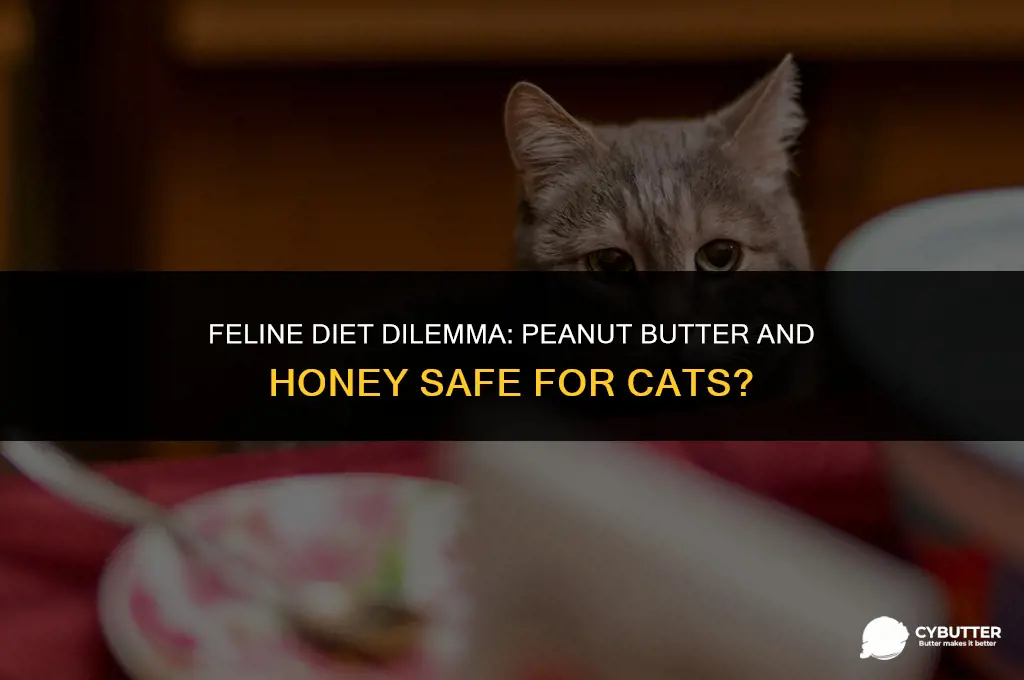 can cats eat peanut butter and honey