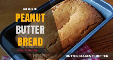 Peanut Butter Bread for Cats: A Nutritious Treat or Not?