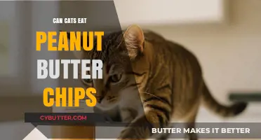 Feline Diet Dilemma: Are Peanut Butter Chips Safe for Cats?
