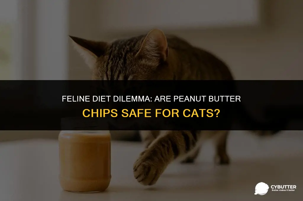 can cats eat peanut butter chips