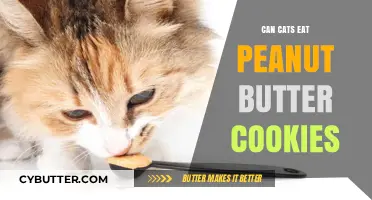 Feline Treats: Are Peanut Butter Cookies Safe for Cats?