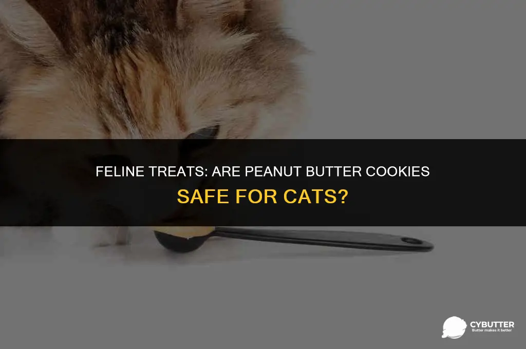can cats eat peanut butter cookies