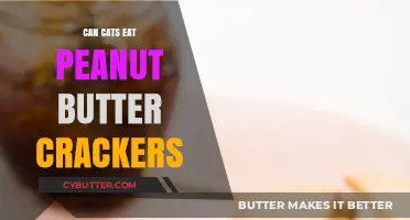 Feline Snack Time: Are Peanut Butter Crackers Safe for Cats?