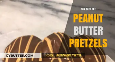 Feline Snack Attack: Are Peanut Butter Pretzels Safe for Cats?