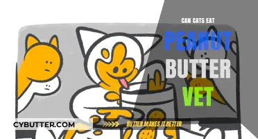 Can Cats Eat Peanut Butter? Vet Answers & Nutritional Insights