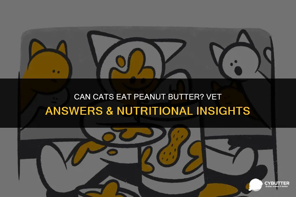 can cats eat peanut butter vet