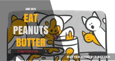 Exploring the Nutty Truth: Is Peanut Butter Safe for Cats?