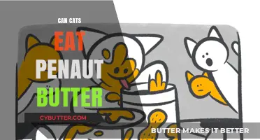 Exploring the Nutty Truth: Is Peanut Butter Safe for Cats?