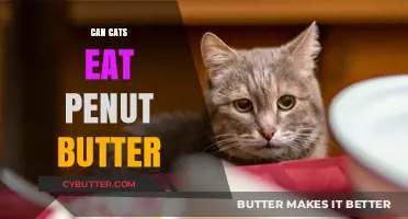 Can Cats Eat Peanut Butter? A Comprehensive Guide for Pet Owners
