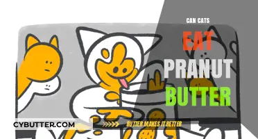 Exploring the Nutty Truth: Is Peanut Butter Safe for Cats?