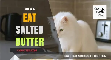 Feline Diet Dilemma: Is Salted Butter Safe for Cats?