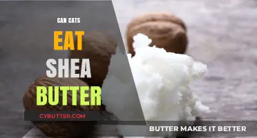 Feline Nutrition: Is Shea Butter Safe for Cats to Consume?