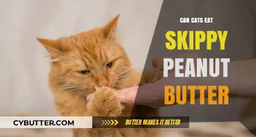 Feline Diet Dilemma: Is Skippy Peanut Butter Safe for Cats?