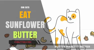 Sunflower Butter for Cats: A Nutritious Treat or Harmful Indulgence?