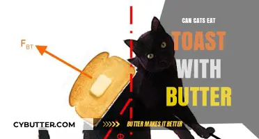 Feline Feast or Faux Pas? The Truth About Cats and Buttery Toast