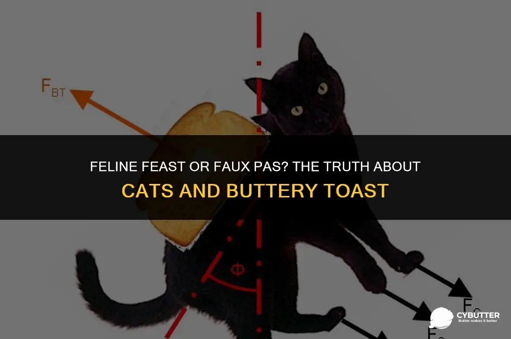 can cats eat toast with butter