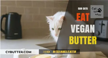 Exploring Feline Diets: Is Vegan Butter Safe for Cats?