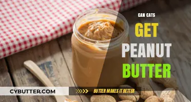 Can Cats Safely Eat Peanut Butter? A Complete Guide for Owners