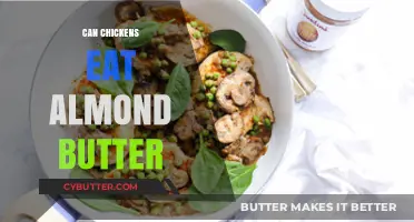 Can Chickens Eat Almond Butter? A Nutty Query Answered