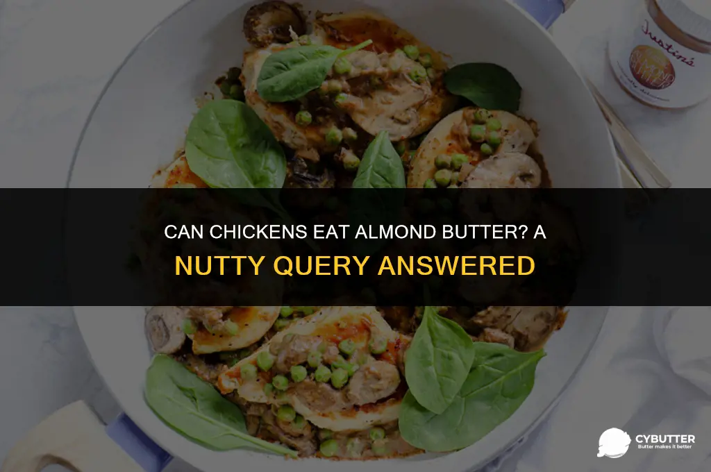 can chickens eat almond butter