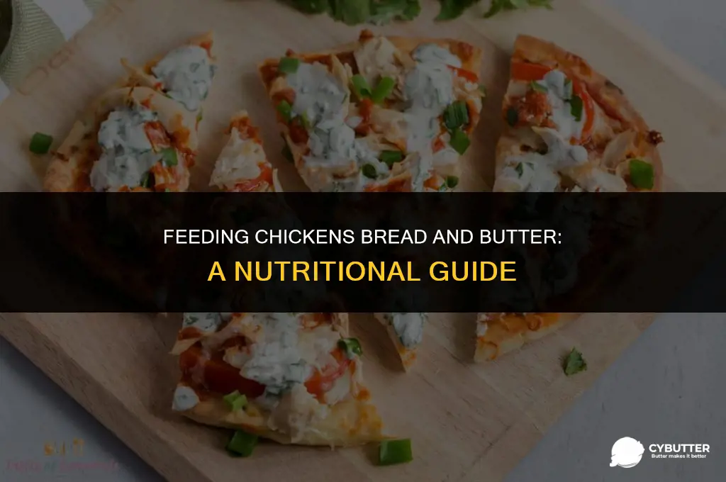 can chickens eat bread and butter