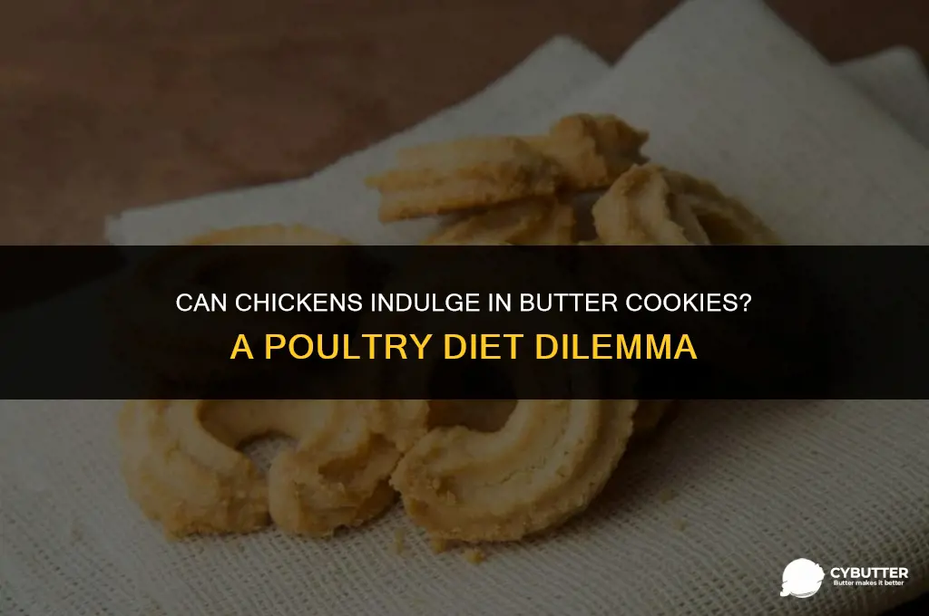 can chickens eat butter cookies