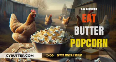 Can Chickens Indulge in Butter Popcorn? A Nutritional Insight