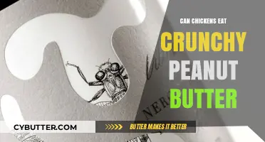 Crunchy Peanut Butter: A Nutritious Treat for Chickens?