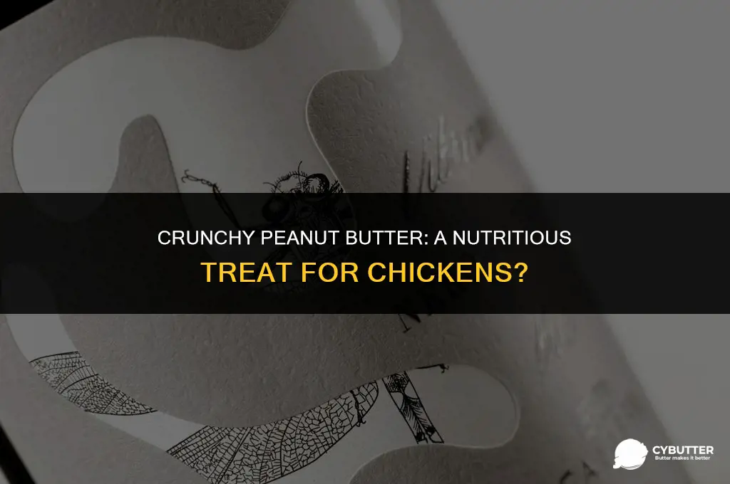 can chickens eat crunchy peanut butter